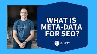 What is Meta-Data for SEO?