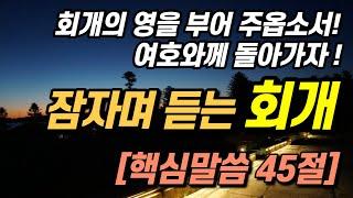 잠자며 듣는 '회개' 여호와께 돌아가자!ㅣ치유, 회복, 돌파의 영적비밀 성령의 통로가 열리는 핵심성경말씀 45절 성경듣기, 공동체성경읽기, 성경낭독, 십자가 고난주간 말씀듣기