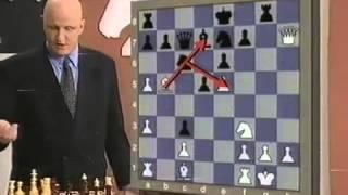 Partidas Inmortales Bobby Fischer Vs Mija l Tal