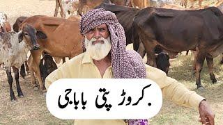 Millionaire Farmer Baba G #businessideas #majidshabbir