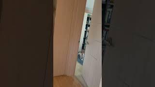 다 지켜보고 있다