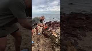 Getting Drinking Water From A Tree