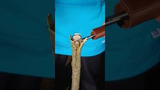 GREAT Bushcraft connection! #lifehacks #survival #camping
