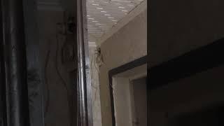 Электромонтаж Краснодара и Краснодарский край #ремонт #электрик #краснодар #electrician