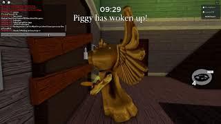 golden piggy showcase [animations]