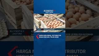 Harga Melonjak Distributor Kesulitan Jual Telur Ayam #shorts #distributor #telur #ayam #mahal #jatim