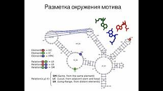 Структурная биоинформатика РНК в целом и в частности, Баулин Евгений, ИМПБ РАН,  30.05.2020