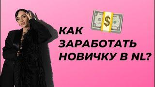 КАК ЗАРАБОТАТЬ НОВИЧКУ В NL