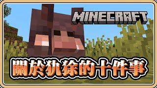 【Minecraft】關於犰狳的十件事【#鬼鬼】1.20.5先行版－23w51b (全字幕)