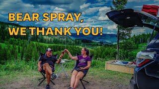 Bear spray changed our outdoor lives forever.  Overland vs National Parks. Yellowstone, Grand Teton