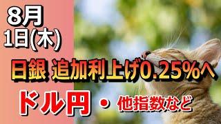 【TAKA FX】日銀ついに追加利上げ0.25%　ドル円他各通貨の環境認識解説。各種指数、GOLDなど　8月1日(木)