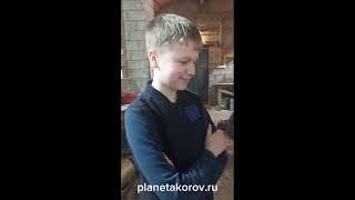 Планета Коров!