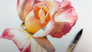 How to paint an orange rose in watercolor | akwarele kwiaty | 水彩ローズ オレンジ