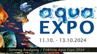 Aqua Expo 2024 -Samstag Rundgang, Mein Eindruck  von der Aquaristikmesse in Dortmund