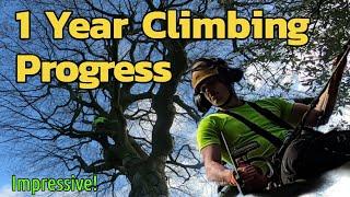 Biggest Tree of his career | 1 year of full time climbing