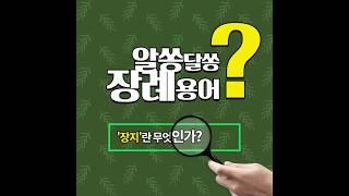 [알쏭달쏭 장례용어] 08. 장지란 무엇인가