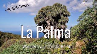 La Palma - Wandern auf La Isla Bonita | Caldera de Taburiente | mit GPS-Tracks | einfachnurreisen.de