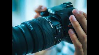 Understanding Aperture: A Guide for Beginner Photographers