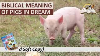 Biblical Meaning of PIG in Dream - Spiritual Meaning of Pig