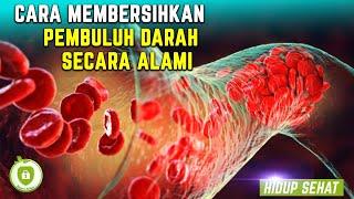 INILAH 5 CARA ALAMI MEMBERSIHKAN PEMBULUH DARAH - Info sehat