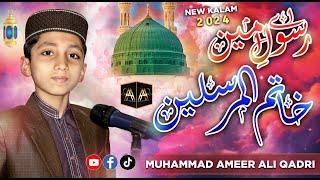 Ae Rasool e Ameen Khatim ul Mursaleen - Ameer Ali Qadri | Naat |2024