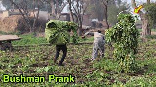 Funny BUSHMAN PRANK !! Try Not To Laugh New Bushman Fail Prank Video!! By Pendo Brand Tv