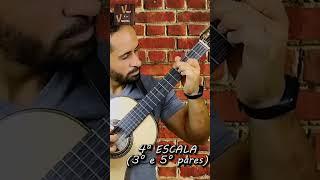 ESCALA DUETADA EM MI - Aprenda as ESCALAS | Viola e o Violeiro #shorts #musica #auladeviola
