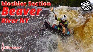 "Moshier Section" Beaver River NY