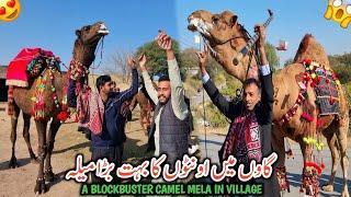 A Blockbuster Camel Mela In Village || All Record Break || Batli Dadyal Azad Kashmir