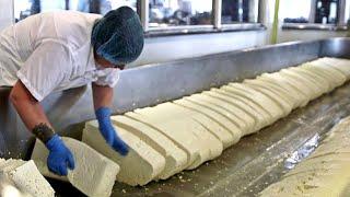 Paano Ginagawa ang Cheddar Cheese sa Factory - Proseso ng Paggawa ng Cheddar Cheese