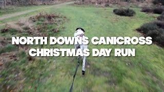 Christmas Canicross Run