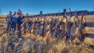 Action-Packed 10 Coyote Day in Colorado! - The Last Stand S4E5