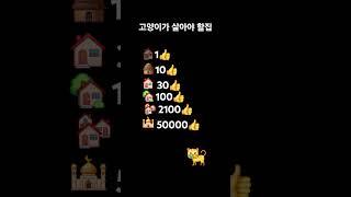 고양이가 살아야 할집