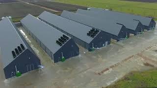 Poultry project in the Netherlands - Boost Your Broiler Breeder Performance with VDL