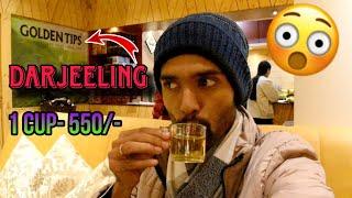 Darjeeling's Famous "Golden Tips" Tea shop || Rohit Das