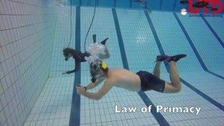 UTD Extreme Scuba Makeover 6 Dec 2015