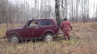 По медвежьим тропам.Не повторяйте!Один день охоты.