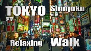 新宿 / Night walk in Shinjuku, Tokyo, Japan ( November 12, 2024 )