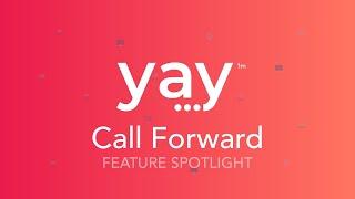 Call Forward | VoIP Phone System Feature Spotlight