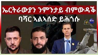 ኤርትራውያን ንምታይ ብምውዳቕ ባሻር ኣልኣሰድ ይሕጎሱ #eritrea #aanmedia #ethiopia #egypt #sudan  #eridronawi