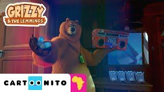 Lemmings Radio Party Disturbance | Grizzy and The Lemmings  | Cartoonito Africa