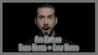 Avi Kaplan - Bass + Low Notes