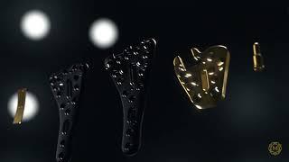 McGinley Orthopedics: Lever Action Plate System®