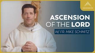 The Ascension of the Lord - Mass with Fr. Mike Schmitz