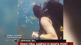 Viral Video Bule Berenang dengan Plastik di Lautan Bali, Ini Kata Gubernur - Special Report 09/03