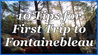 Fontainebleau Bouldering - 10 Tips for Your First Trip to Font