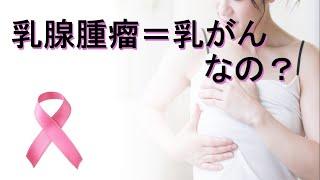【乳がん検診】ガンじゃないなら、結局何なの？