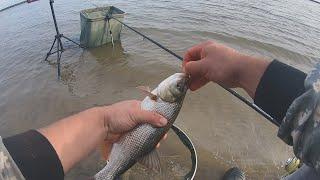 #Ritterfishing #Фидер #Обь Фидерная рыбалка на Обском море. Пошел на рыбалку на рыбалке.