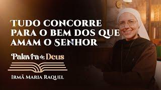 Palavra de Deus | Tudo concorre para o bem dos que amam o Senhor (Lc 21,29-33) Irmã Ma Raquel 29/11