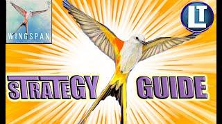 Wingspan STRATEGY GUIDE / How to win at Wingspan / Wingspan boardgame tips, tricks, and tactics